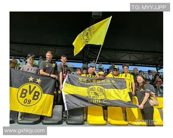 多特蒙德友谊赛大胜波尔图四球横扫全场激情四溢